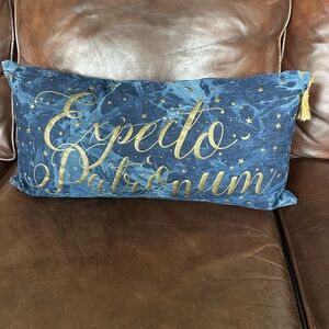 Pottery Barn Teen Harry Potter Expecto Patronum Pillow